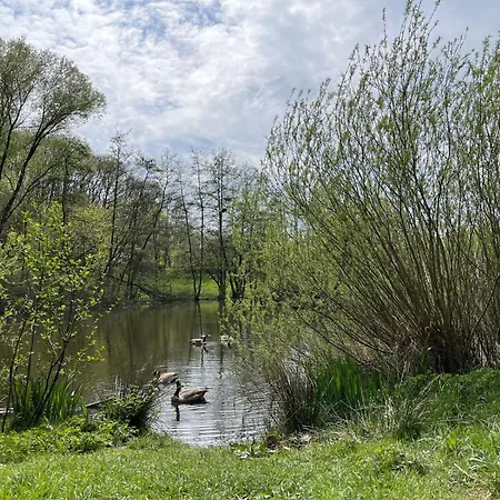 Elke's Traum By Interhome * Frankenau