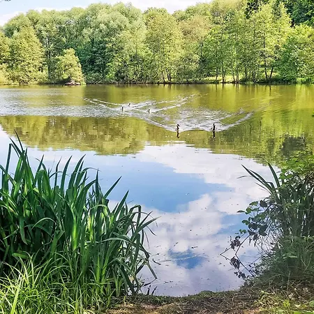 Elke's Traum By Interhome Frankenau